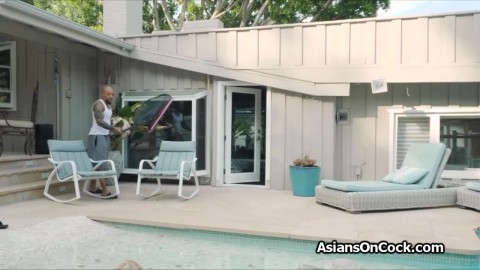 Pool side big black cocking of Asian bikini beauty