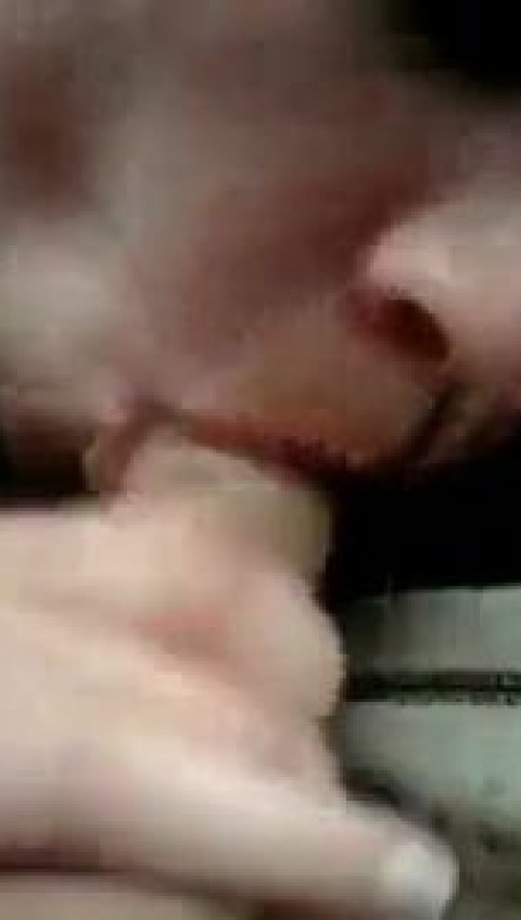 a young prostitute sucking dick in car