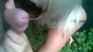 Slut in glasses makes a blowjob in the forest