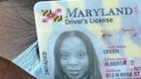 Slut Alberta Green 6