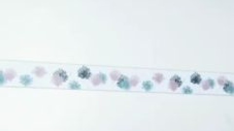 more creamy orgasm adult xxx