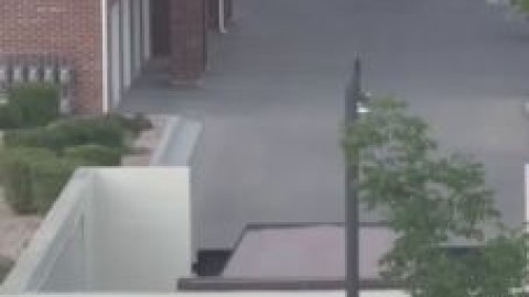 marley roze nude pov missionary viral