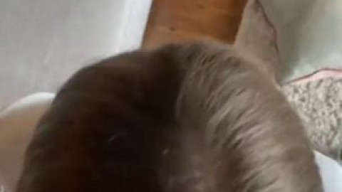 hailey hitch school girl sex xvideos