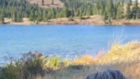 theprincessjess outdoor blowjob cum swallow clip free