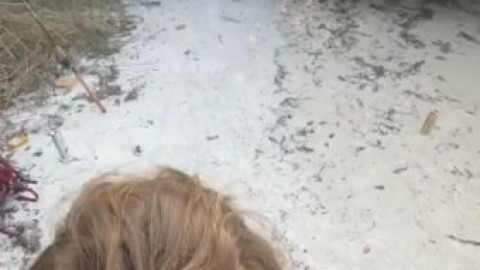 mia melano nude beach sex xvideos
