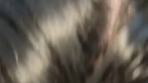 christina khalil anal beads pornhub