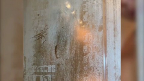 sophieraiin night dress strip xvideos