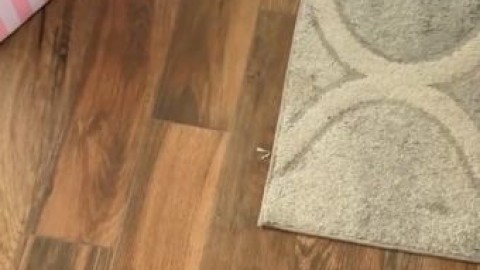 mckinley richardson blowjob ppv video