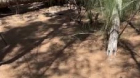 avery leigh nude pov webster