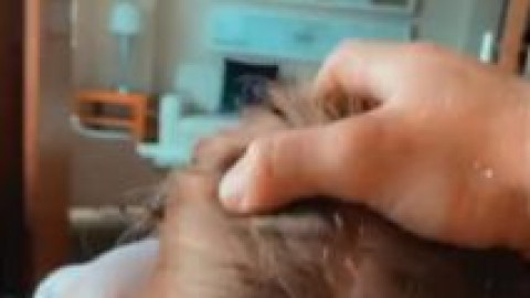 zoie burgher blowjob amateur