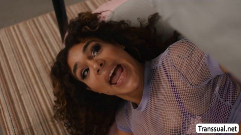 Fucking my TS roommates ass while doing homework