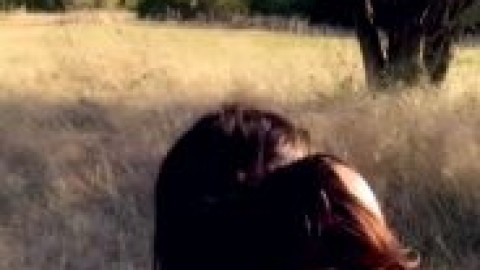 onlyfans fandy nude outdoor video yps porn