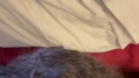 noemi doll porn sava schultz xxx