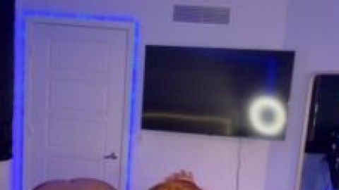 touchmoney of xclusiv hamster porn videos