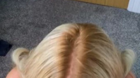 elle brooke pov anal blowjob pornvids