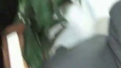 racist dad is disgusted on xxx porno videos