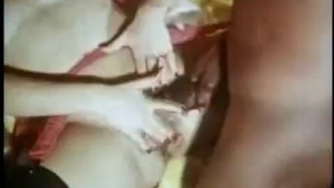 going interracial gay free porn