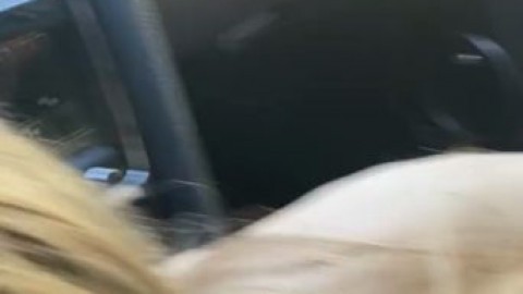 trippie bri car blowjob riding videos adultos