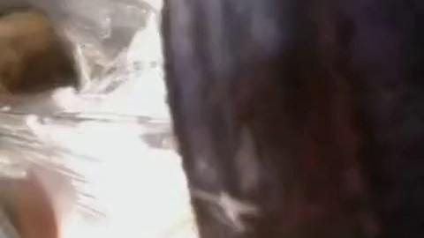 compilation amateur touch encoxada chikan best porn tubes