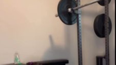 bbw gym sesh plrn