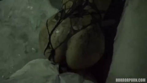 female spider asian porn site