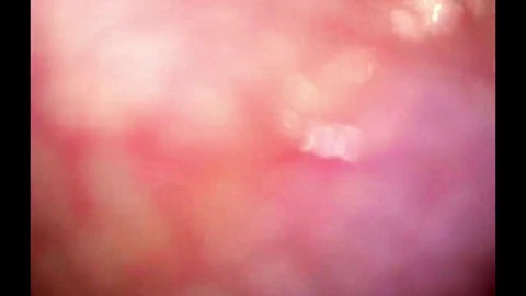 giantess anal vore pov xnx x