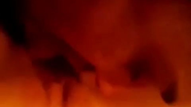 New zealand Tia layne